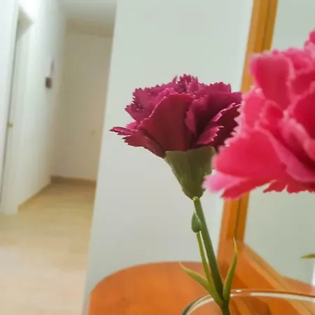 Atico * 格兰塔拉雅