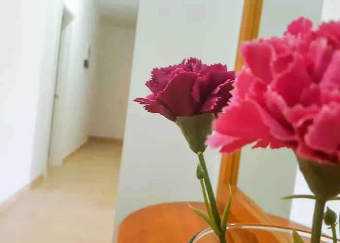 Atico * グラン・タラハル